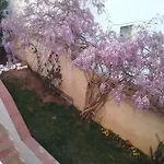 Beach,open Space , Terrace,garden Appartement