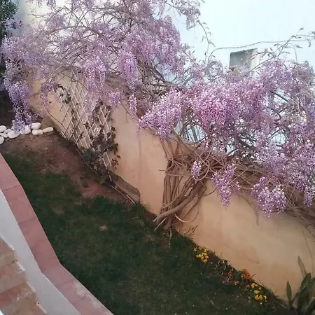 Beach, In A Villa, Terrace,garden Holiday home